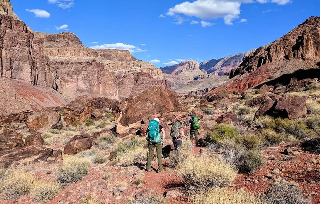What to Know About Desert Hiking